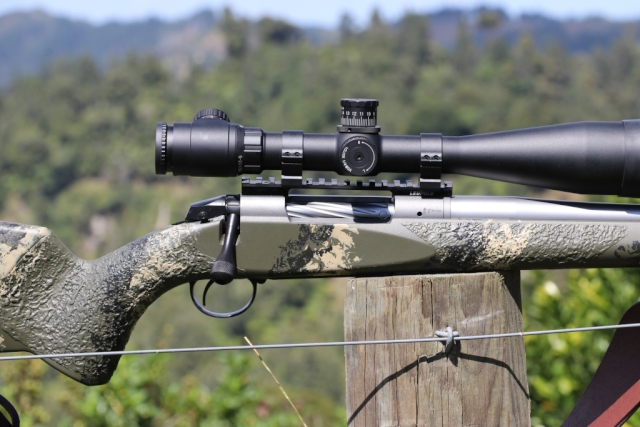 Bergara Practical web 2