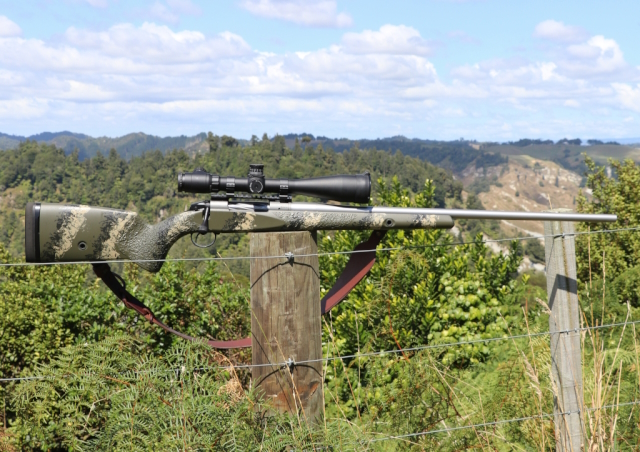 Bergara Practical web